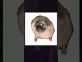 dogs