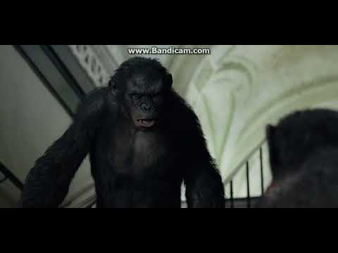 Dawn of the Planet of the Apes   Ashs Death