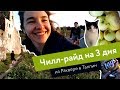 Чилл-райд на 3 дня. Из Раквере в Таллин.