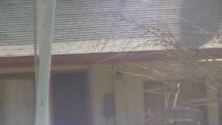 Psycho House In Espanol