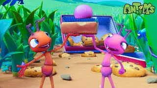 the biggest cookie ever but how do they carry it kids tv shows cartoons for kids