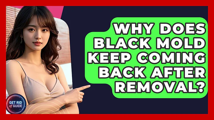 Why Does Black Mold Keep Coming Back After Removal? - Get Rid Of Guide