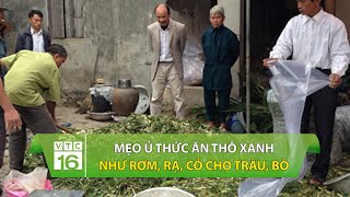 Mẹo ủ thức ăn thô xanh như rơm, rạ, cỏ cho trâu, bò | VTC16