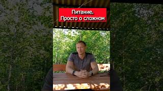 📌Питание. Просто о сложном.