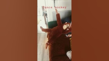 Dancing monke