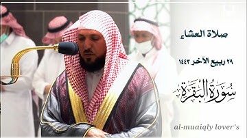 بأداء كردي يأسر قلبك يرتل الشيخ ماهر المعيقلي ما تيسر من سورة البقرة صلاة العشاء 29 ربيع اﻵخر 1443 |