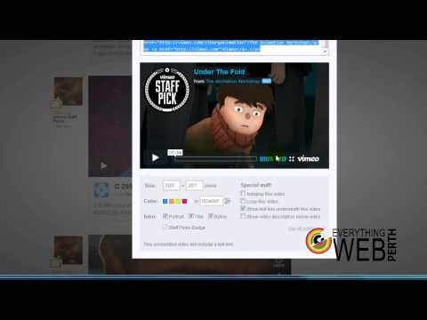 How to embed youtube or vimeo videos into your Wordpress website