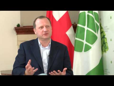 ზურა ჯაფარიძე ეკონომიკის მომავლის შესახებ