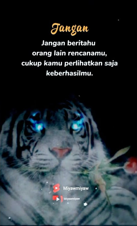 story wa macan putih terbaru. Diamlah #shorts #status #attitudestatus #motivation