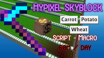 Hypixel Skyblock Carrot / Potato / Wheat Macro ( Script )