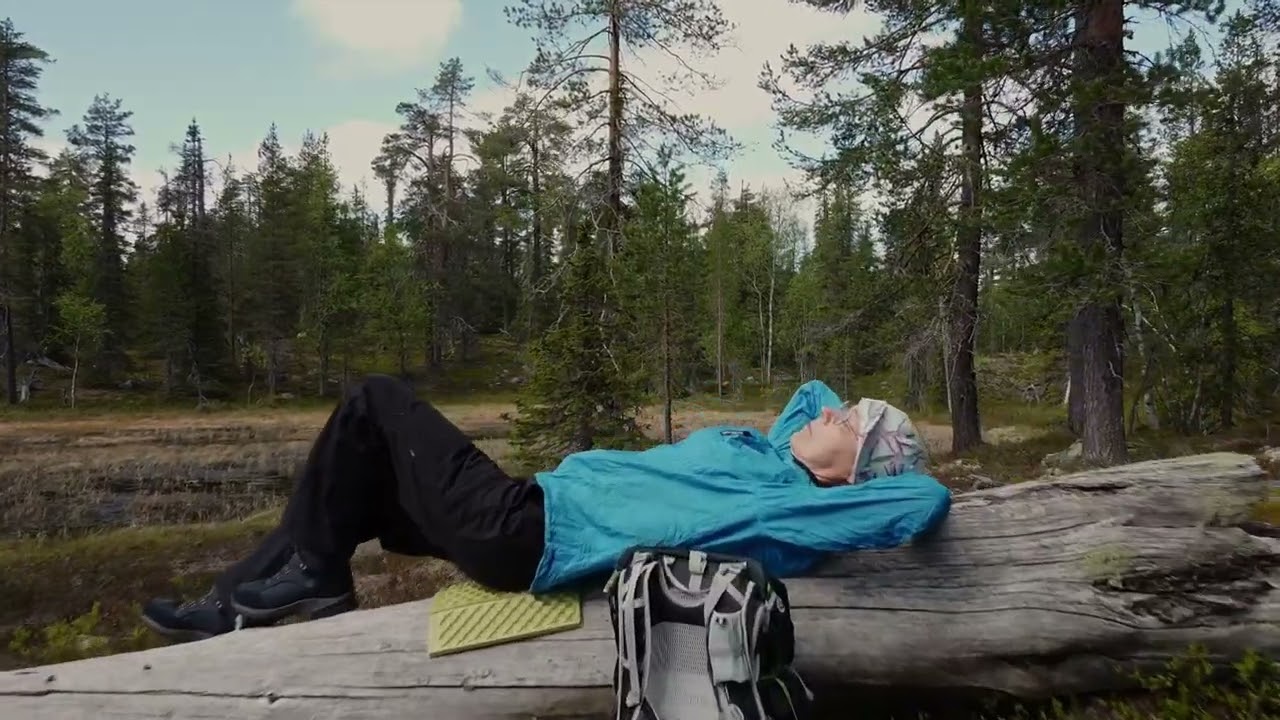 Kuusikko-Ruuhivaara (kesäkuu 2025)