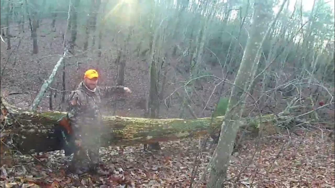 Squirrel Hunting in Patrick County Virginia YouTube