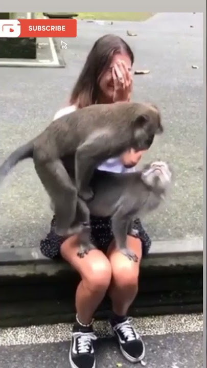 Unbelievable Animals funny short video#viral #funny #monky #king #trand #sex #porn #xvideos