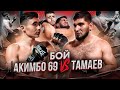 Тамаев vs Акимбо. Сдался! Полный бой