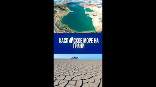 Каспийское море на грани исчезновения: что скрывается за экологической катастрофой?