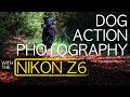 Dog action photography | With the Nikon Z6