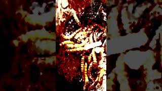 Enjambre en la boca #miedo #terrorymisterio #relatosbizarros #horror #aterrador #datoscurisos