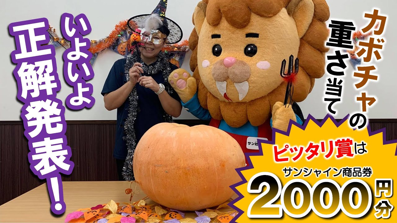 正解発表！ハロウィンWebでカボチャ重さ当て！ | サンシャイン