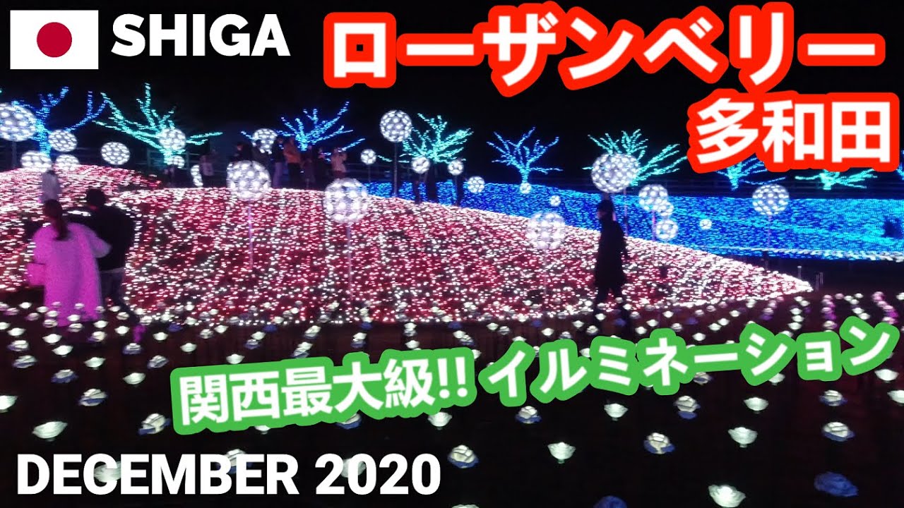 関西最大級イルミネーション - ローザンベリー多和田を歩く 滋賀観光2020 Rosa&Berry Tawada Illumination in Shiga Japan