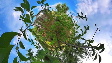 Insta360 One X2: Little Planet Animation