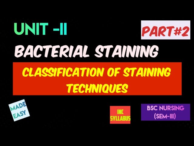 classification of staining techniques || part#2