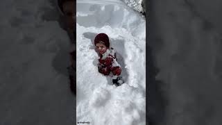 Dad Films Four-Year-Old Son Jumping Into Snow || Dogtooth Media