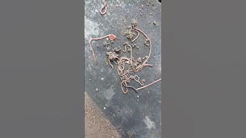 nimpuk orang mancing #fyp #mancing #reels #shorts #viral #trending