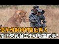懷孕母獅哭著走近這個男人 然後他意識到了她有了大麻煩 暖心 救助 感動 奇跡 感人 不可思議 懷孕母獅哭著走近這個男人 然後他意識到了她有了大麻煩 暖心 救助 感動 奇跡 感人 不可思議