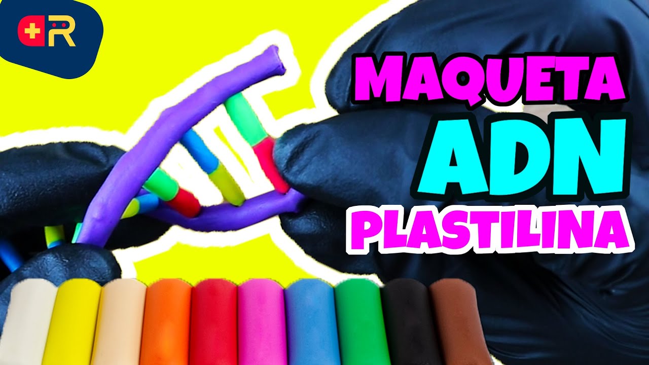 Como HACER UNA MAQUETA DEL ADN Facil Y Rapido Con PLASTILINA 😱 Maqueta del ADN en plastilina facil