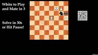 Computer-Generated Chess Problem 01782