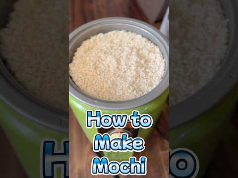 Mochi making dance!  From Sticky rice to Mochi by using Japanese mochi maker 蒸したもち米から餅になるまで10分間を10倍速