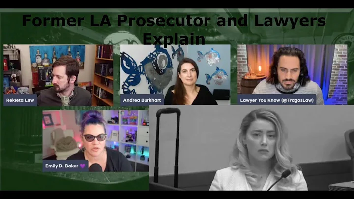 Amber's DV Accusations Rekt by Former LA Prosecuto...