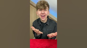 Find the panda! 🐼 #shorts