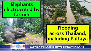 VERY LATEST NEWS FROM THAILAND in English (16 October 2023) from Fabulous 103fm Pattaya