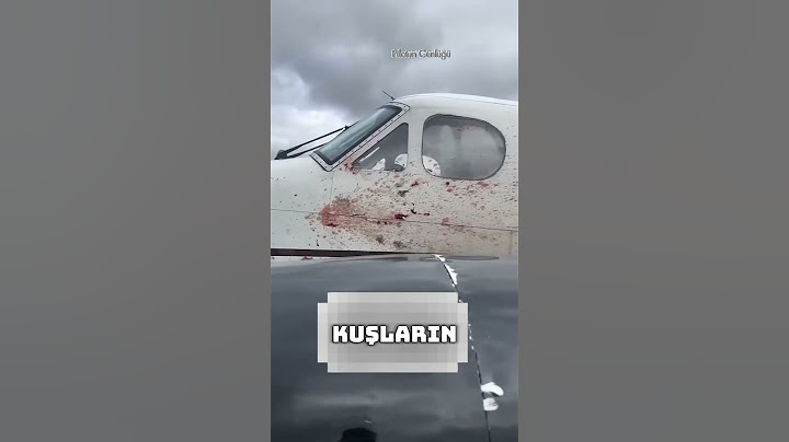 ✈️Bu uçak kuş sürüsüne daldı... Sonrası tam bir FELAKET#shorts  #havacılık #automobile #aviation