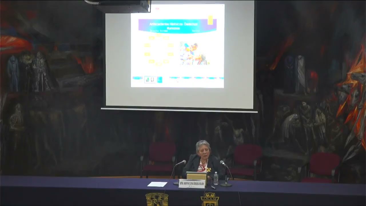 Conferencia: Los derechos humanos en el mar