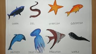 How to draw different types of Fish || Fish name drawing & coloring || Necessary Vocabulary Tutorial