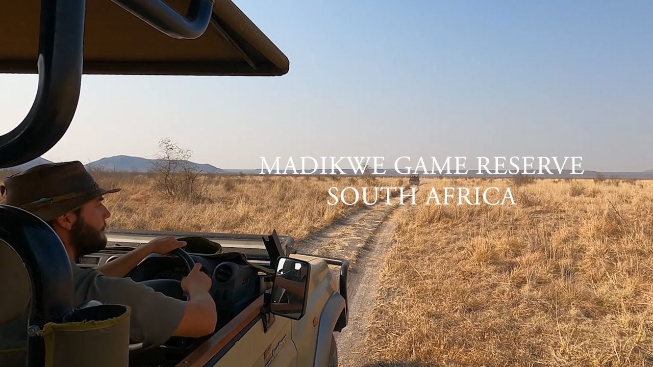 Rhulani Safari Lounge and the Madikwe Game Reserve - South Africa