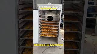 Efficient Food Drying Room | Preserve Flavor & Quality with Advanced Technology#dryingroom #dryer