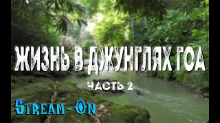 "Stream-on" - жизнь в джунглях Гоа (2 часть)