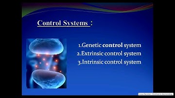 control systems - Homeostasis