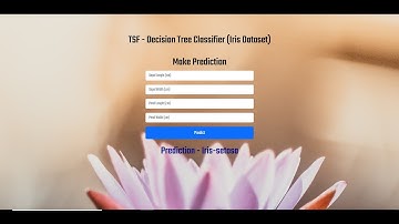 TSF - Decision Tree Classifier