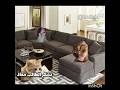 معاذ علي حسن سلوكة 😂🙈#اشتركو قربنا لي10k#لايك_اشتراك#مهتم بي هذا المحتوى فولو مي🎀#cat#غزاة تموت جوع