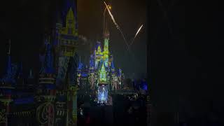 Tinker Bell! #fireworks #tinkerbell #disney #foryou #fyp #viralvideo #excitement #disneyworld #magic