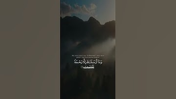 تلاوة هادئه | القارئ عبدالله الموسى 🤍.