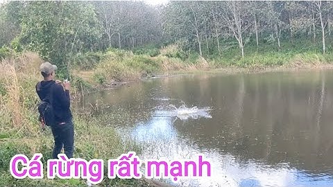 Câu cá lóc_Khám phá những cái đầm mới trong rừng @Hữunghị tv