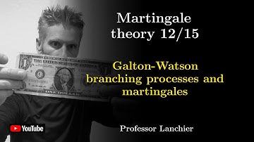 11-12. Martingale theory - Galton-Watson branching processes and martingales.