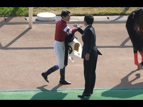 武豊 × 藤田晋 × デュガ 絵になる2人と1頭のウィーナーズサークル　2歳1勝クラス 芝1400m 2021年11月20日 東京競馬場