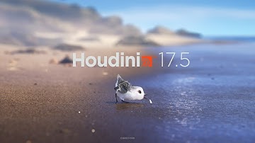 Introduction to Houdini in Hindi  -- Chapter 5 -- fundamental of procedure PART 1