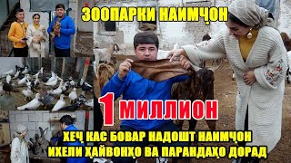 :  .          .